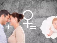 体型较小的女性做试管婴儿生二胎，更适合移植单胚胎吗？